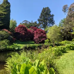 Mount Usher Gardens - Ashford