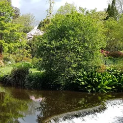 Mount Usher Gardens - Ashford