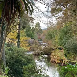 Mount Usher Gardens - Ashford