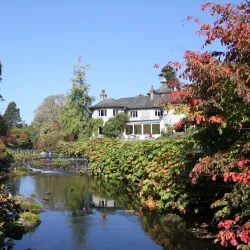 Mount Usher Gardens - Ashford
