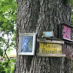 Russborough House - Ashford