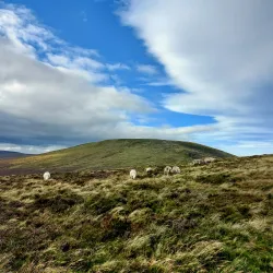 The Wicklow Way - Ashford