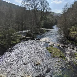 The Wicklow Way - Ashford