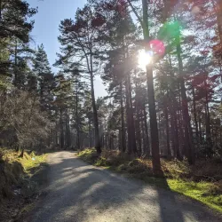 The Wicklow Way - Ashford