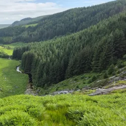 Wicklow Mountains National Park - Ashford