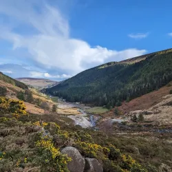 Wicklow Mountains National Park - Ashford