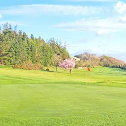 Athlone Golf Club - Athlone