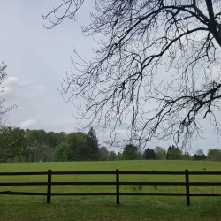 Ballina Golf Club - Ballina