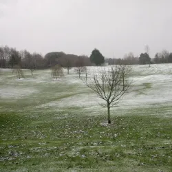 Ballina Golf Club - Ballina