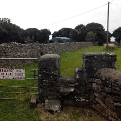 Moyne Abbey - Ballina
