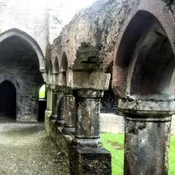 Moyne Abbey - Ballina