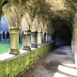 Moyne Abbey - Ballina