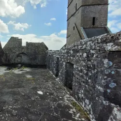 Moyne Abbey - Ballina