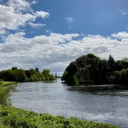 River Moy - Ballina