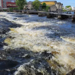 River Moy - Ballina
