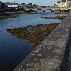 River Moy - Ballina
