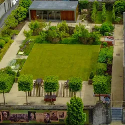 The Jackie Clarke Collection - Ballina