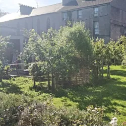 The Jackie Clarke Collection - Ballina