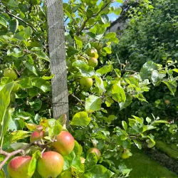 The Jackie Clarke Collection - Ballina