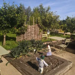 The Jackie Clarke Collection - Ballina