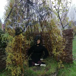 The Jackie Clarke Collection - Ballina