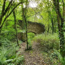 Ballincollig Gunpowder Mills - Ballincollig