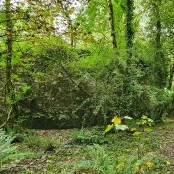 Ballincollig Gunpowder Mills - Ballincollig