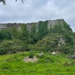 Carrigrohane Castle - Ballincollig