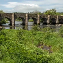 Oriel Park - Ballincollig