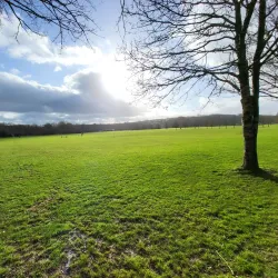 Oriel Park - Ballincollig