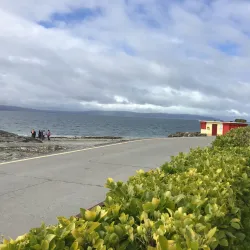 Salthill Promenade - Barna