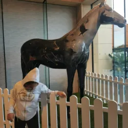 Castleknock Golf Club - Blanchardstown