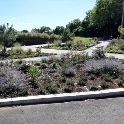 Huntstown Park - Blanchardstown