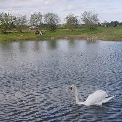 Tyrrelstown Park - Blanchardstown