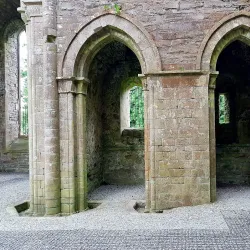Boyle Abbey - Boyle
