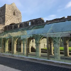Boyle Abbey - Boyle