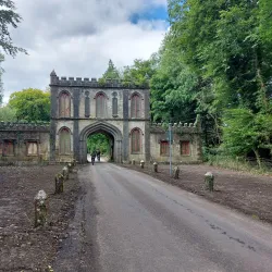 Lough Key Forest Park - Boyle