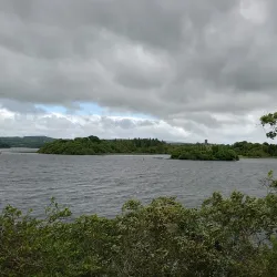 Lough Key Forest Park - Boyle