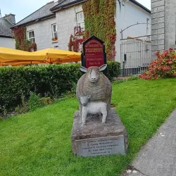 Roscommon County Museum - Boyle