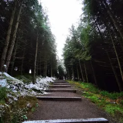 Slieve Bawn Hill - Boyle