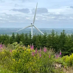Slieve Bawn Hill - Boyle