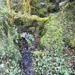 Slieve Bawn Hill - Boyle