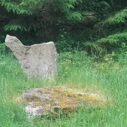 Slieve Bawn Hill - Boyle