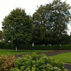 St. Joseph's Church - Boyle