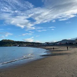 Bray Beach - Bray