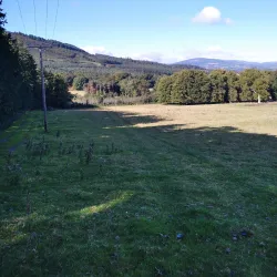 Killruddery House and Gardens - Bray