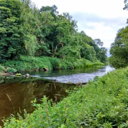 Altamont Gardens - Carlow