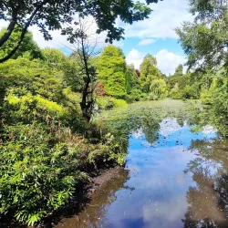 Altamont Gardens - Carlow