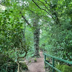 Altamont Gardens - Carlow