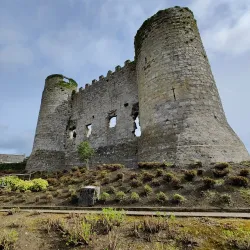 Carlow Castle - Carlow